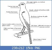 Cliquez sur l'image pour la voir en taille relle

Nom : sans-titreNNN.png
Affichages : 224
Taille : 14,6 Ko
ID : 103091