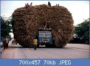 Cliquez sur l'image pour la voir en taille r�elle

Nom : 355__880africa.jpg
Affichages : 92
Taille : 70,0 Ko
ID : 103100