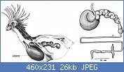 Cliquez sur l'image pour la voir en taille r�elle

Nom : 03-Esto-460x231.jpg
Affichages : 94
Taille : 26,3 Ko
ID : 103348