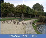 Cliquez sur l'image pour la voir en taille r�elle

Nom : Bernaches_du_Canada_au_lac_Fray�_(Vigneux-sur-Seine).jpg
Affichages : 114
Taille : 109,8 Ko
ID : 103720