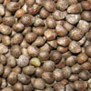 Nom : perilla.jpg
Affichages : 813
Taille : 20,8 Ko