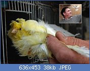 Cliquez sur l'image pour la voir en taille réelle
Nom : 0-20512-151016170148094-0-407087.jpg
Affichages : 86
Taille : 38,2 Ko
ID : 103923