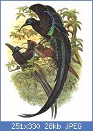 Cliquez sur l'image pour la voir en taille r�elle

Nom : fastosus.jpg
Affichages : 151
Taille : 27,7 Ko
ID : 104451