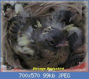 Cliquez sur l'image pour la voir en taille relle

Nom : 002b.jpg
Affichages : 412
Taille : 99,2 Ko
ID : 105794