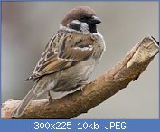 Cliquez sur l'image pour la voir en taille relle

Nom : 59 y.jpg
Affichages : 110
Taille : 10,0 Ko
ID : 106662