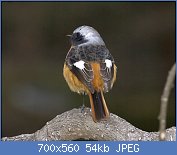 Cliquez sur l'image pour la voir en taille réelle

Nom : Now_check_out_my_back_-_Flickr_-_Lip_Kee.jpg
Affichages : 473
Taille : 54,0 Ko
ID : 109323