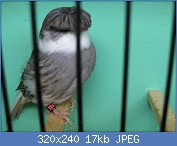 Cliquez sur l'image pour la voir en taille relle

Nom : IMG_5518.JPG
Affichages : 1900
Taille : 17,0 Ko
ID : 109859