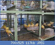 Cliquez sur l'image pour la voir en taille relle

Nom : Elecvage TRUCHI 6.jpg
Affichages : 243
Taille : 117,4 Ko
ID : 110321