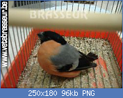Cliquez sur l'image pour la voir en taille relle

Nom : sans-titre6.png
Affichages : 490
Taille : 96,1 Ko
ID : 111219