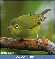 Cliquez sur l'image pour la voir en taille réelle
Nom : 1.jpg
Affichages : 583
Taille : 24,0 Ko
ID : 111471