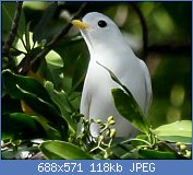 Cliquez sur l'image pour la voir en taille r�elle

Nom : Untitled-1.jpg
Affichages : 676
Taille : 117,9 Ko
ID : 112735