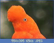 Cliquez sur l'image pour la voir en taille réelle
Nom : 5245251_8d688ab6_640.jpg
Affichages : 83
Taille : 65,2 Ko
ID : 112904