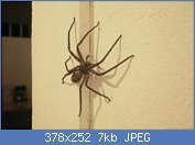 Cliquez sur l'image pour la voir en taille réelle
Nom : AAqDauQ.jpg
Affichages : 217
Taille : 6,7 Ko
ID : 113102