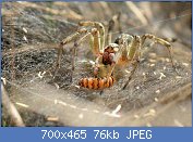 Cliquez sur l'image pour la voir en taille réelle
Nom : AAqDkMH.jpg
Affichages : 225
Taille : 76,0 Ko
ID : 113103