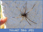 Cliquez sur l'image pour la voir en taille r�elle

Nom : AAqDxYT11111.jpg
Affichages : 216
Taille : 57,8 Ko
ID : 113104