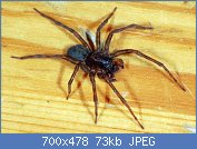 Cliquez sur l'image pour la voir en taille r�elle

Nom : AAqDawG333333.jpg
Affichages : 217
Taille : 73,0 Ko
ID : 113106