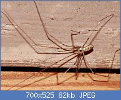 Cliquez sur l'image pour la voir en taille r�elle

Nom : AAqDqhj444444.jpg
Affichages : 202
Taille : 82,0 Ko
ID : 113107