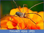 Cliquez sur l'image pour la voir en taille réelle
Nom : AAqDnPV555555.jpg
Affichages : 210
Taille : 41,4 Ko
ID : 113108