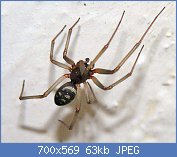 Cliquez sur l'image pour la voir en taille r�elle

Nom : AAqDawJ6666666.jpg
Affichages : 224
Taille : 62,7 Ko
ID : 113109