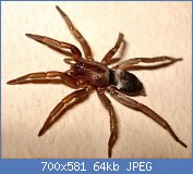 Cliquez sur l'image pour la voir en taille r�elle

Nom : AAqDqhk77777777.jpg
Affichages : 200
Taille : 64,1 Ko
ID : 113110