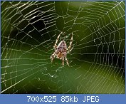 Cliquez sur l'image pour la voir en taille r�elle

Nom : AAqDnQ188888888.jpg
Affichages : 215
Taille : 85,3 Ko
ID : 113111