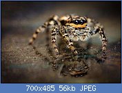 Cliquez sur l'image pour la voir en taille r�elle

Nom : AAqDsNN9999999.jpg
Affichages : 208
Taille : 55,9 Ko
ID : 113112