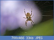 Cliquez sur l'image pour la voir en taille réelle
Nom : AAqDnQ71010101010.jpg
Affichages : 209
Taille : 33,0 Ko
ID : 113113