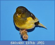 Cliquez sur l'image pour la voir en taille relle

Nom : 07.jpg
Affichages : 217
Taille : 196,8 Ko
ID : 113951