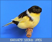 Cliquez sur l'image pour la voir en taille relle

Nom : 12A.jpg
Affichages : 218
Taille : 183,0 Ko
ID : 113956