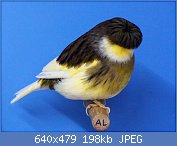 Cliquez sur l'image pour la voir en taille relle

Nom : 16.jpg
Affichages : 206
Taille : 198,2 Ko
ID : 113960