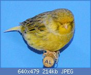 Cliquez sur l'image pour la voir en taille relle

Nom : 17.jpg
Affichages : 218
Taille : 213,7 Ko
ID : 113961