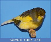 Cliquez sur l'image pour la voir en taille relle

Nom : 27.jpg
Affichages : 210
Taille : 198,3 Ko
ID : 113971