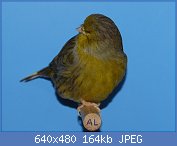 Cliquez sur l'image pour la voir en taille relle

Nom : 29.jpg
Affichages : 205
Taille : 164,0 Ko
ID : 113973