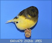 Cliquez sur l'image pour la voir en taille relle

Nom : 30.jpg
Affichages : 193
Taille : 201,9 Ko
ID : 113974