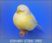 Cliquez sur l'image pour la voir en taille relle

Nom : 36.jpg
Affichages : 202
Taille : 172,7 Ko
ID : 113983