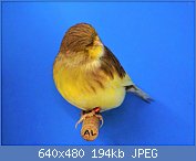 Cliquez sur l'image pour la voir en taille relle

Nom : 44.jpg
Affichages : 220
Taille : 194,3 Ko
ID : 113991