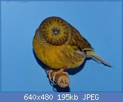 Cliquez sur l'image pour la voir en taille relle

Nom : 45.jpg
Affichages : 149
Taille : 195,1 Ko
ID : 113998