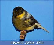 Cliquez sur l'image pour la voir en taille relle

Nom : 51.jpg
Affichages : 155
Taille : 208,7 Ko
ID : 114004