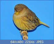 Cliquez sur l'image pour la voir en taille relle

Nom : 60.jpg
Affichages : 147
Taille : 221,4 Ko
ID : 114013