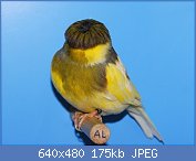 Cliquez sur l'image pour la voir en taille relle

Nom : 61.jpg
Affichages : 156
Taille : 175,0 Ko
ID : 114014