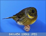 Cliquez sur l'image pour la voir en taille relle

Nom : 65.jpg
Affichages : 155
Taille : 198,5 Ko
ID : 114018