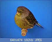 Cliquez sur l'image pour la voir en taille relle

Nom : 68.jpg
Affichages : 132
Taille : 182,3 Ko
ID : 114021