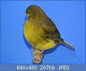 Cliquez sur l'image pour la voir en taille relle

Nom : 76.jpg
Affichages : 144
Taille : 207,4 Ko
ID : 114031