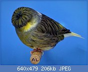 Cliquez sur l'image pour la voir en taille relle

Nom : 85.jpg
Affichages : 129
Taille : 206,2 Ko
ID : 114040