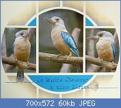 Cliquez sur l'image pour la voir en taille r�elle

Nom : 101942425.jpg
Affichages : 111
Taille : 60,0 Ko
ID : 114308