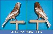 Cliquez sur l'image pour la voir en taille relle

Nom : Bild1.jpg
Affichages : 2096
Taille : 80,1 Ko
ID : 114461