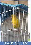 Cliquez sur l'image pour la voir en taille r�elle

Nom : th074IYA90.jpg
Affichages : 71
Taille : 52,3 Ko
ID : 114849