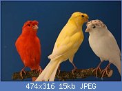 Cliquez sur l'image pour la voir en taille r�elle

Nom : thG3A4HLBV.jpg
Affichages : 81
Taille : 15,2 Ko
ID : 114853