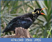 Cliquez sur l'image pour la voir en taille r�elle

Nom : thmainate.jpg
Affichages : 86
Taille : 34,7 Ko
ID : 114854