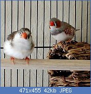 Cliquez sur l'image pour la voir en taille r�elle

Nom : thR2UMH7OW.jpg
Affichages : 73
Taille : 41,8 Ko
ID : 114855